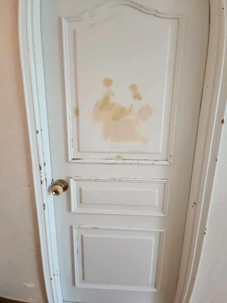 문짝 페인트 — 문 전체에서 본 연마한 자리